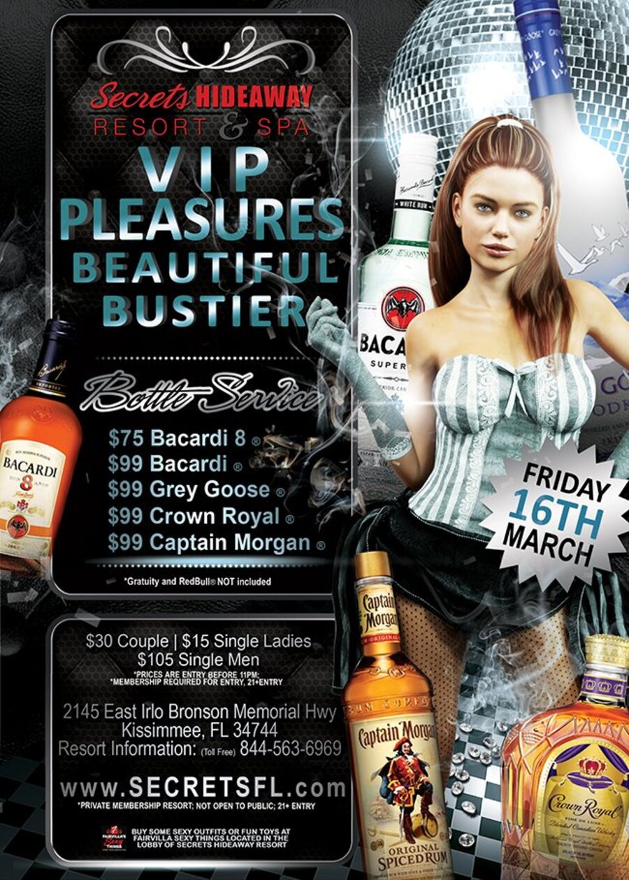 VIP Pleasures Beautiful Bustier