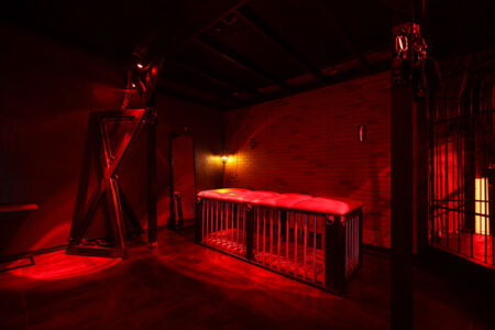 Dungeon Playroom 29