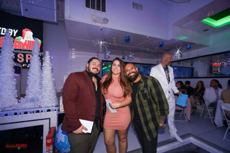 Secretschristmas 131